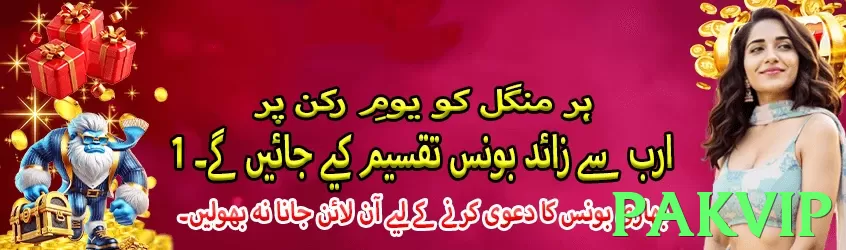 pakvip Pakistan - 3